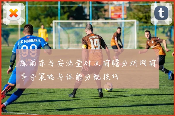 陈雨菲与安洗莹对决前瞻分析网前争夺策略与体能分配技巧
